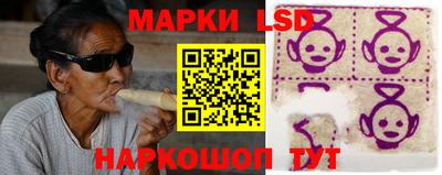 крисы Будённовск