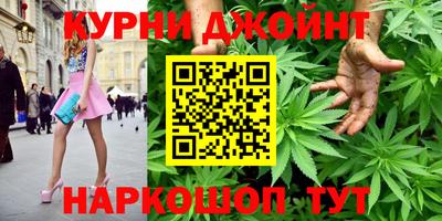 крисы Будённовск