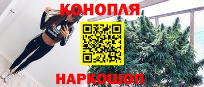 крисы Будённовск